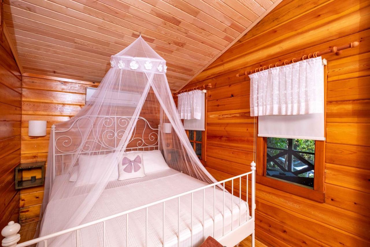 Portalimo Lodge Hotel - Adult Only +12 Çıralı Luaran gambar