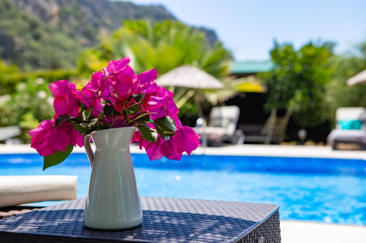 Portalimo Lodge Hotel - Adult Only +12 Çıralı Luaran gambar