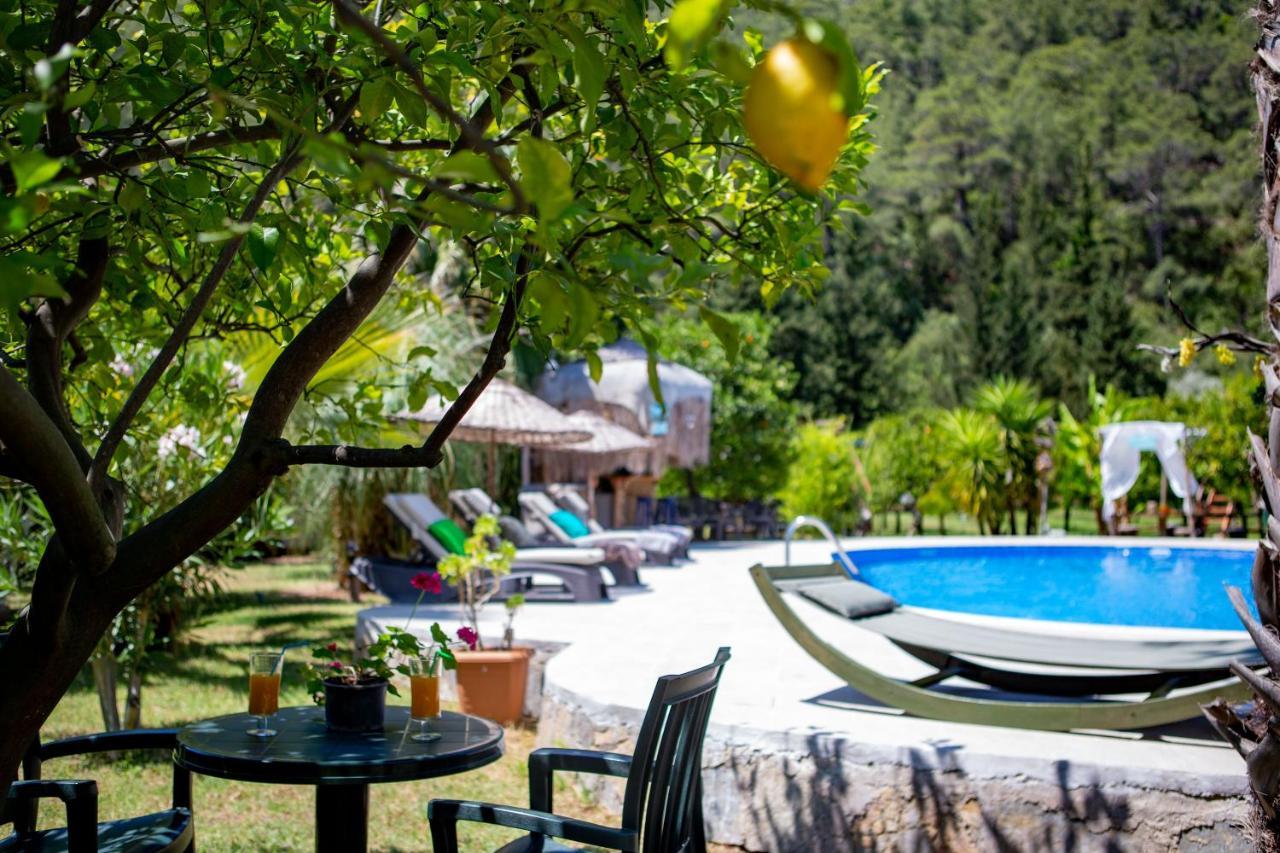 Portalimo Lodge Hotel - Adult Only +12 Çıralı Luaran gambar