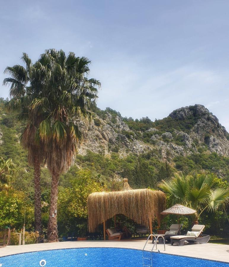 Portalimo Lodge Hotel - Adult Only +12 Çıralı Luaran gambar