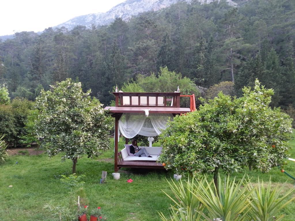 Portalimo Lodge Hotel - Adult Only +12 Çıralı Luaran gambar