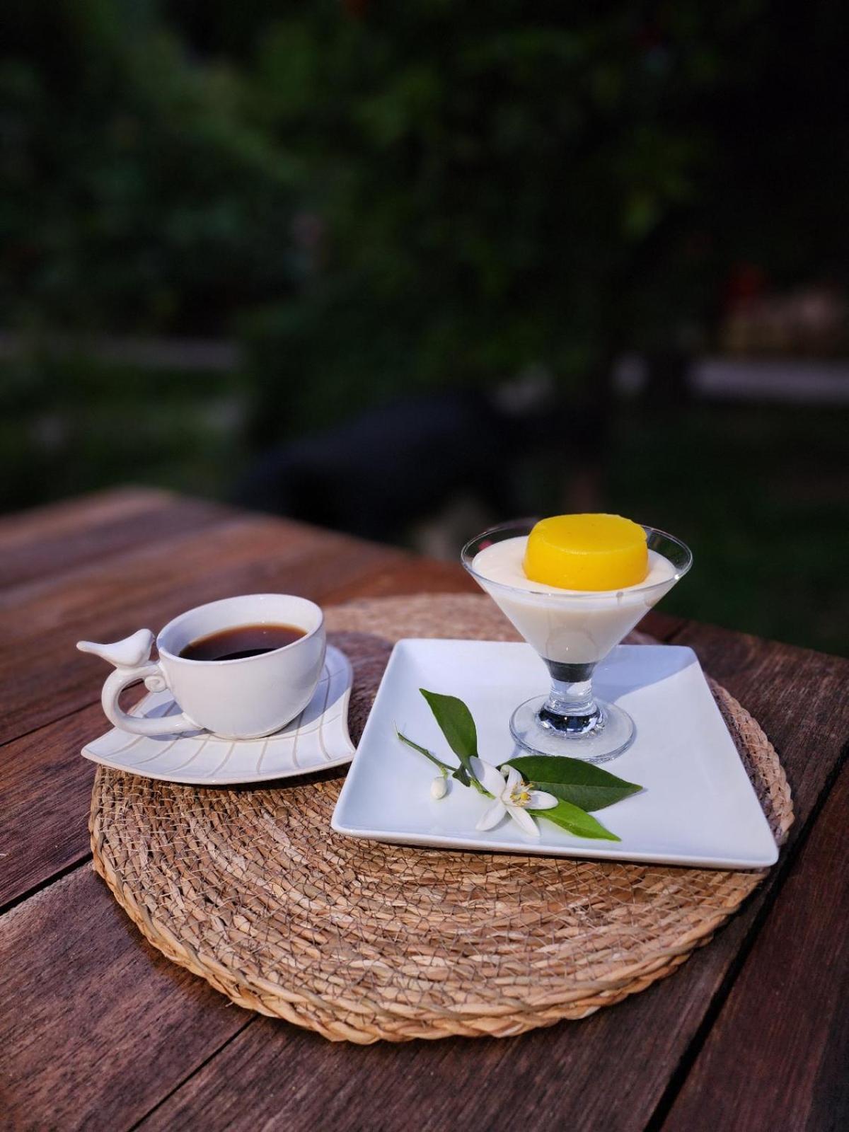 Portalimo Lodge Hotel - Adult Only +12 Çıralı Luaran gambar