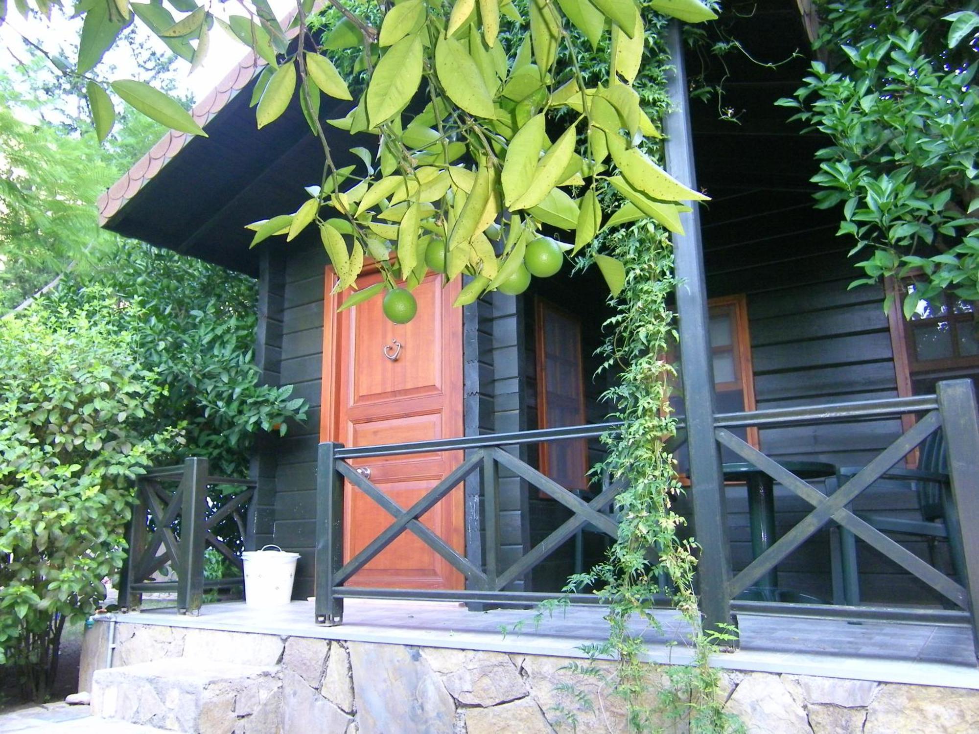 Portalimo Lodge Hotel - Adult Only +12 Çıralı Luaran gambar