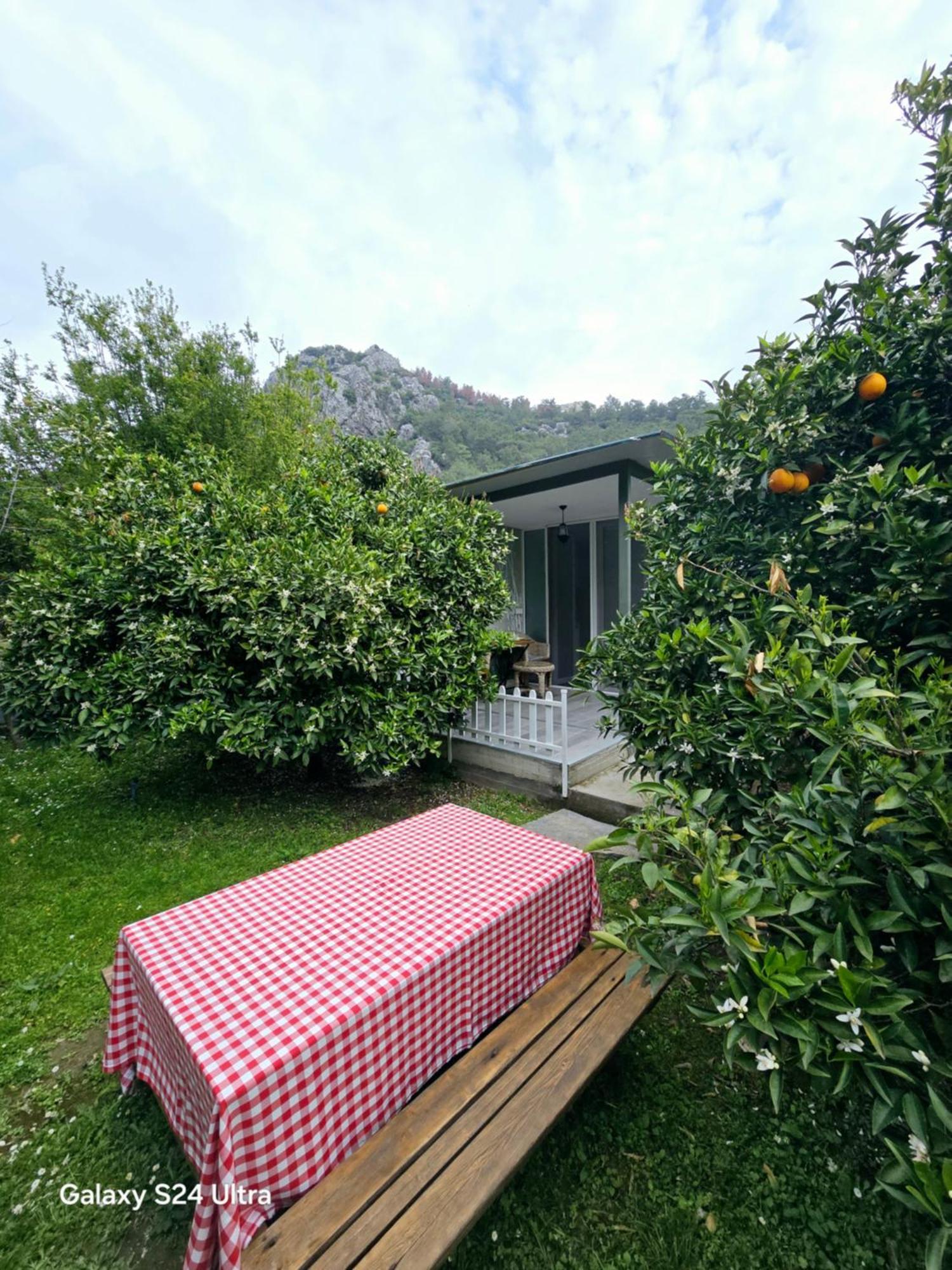 Portalimo Lodge Hotel - Adult Only +12 Çıralı Luaran gambar