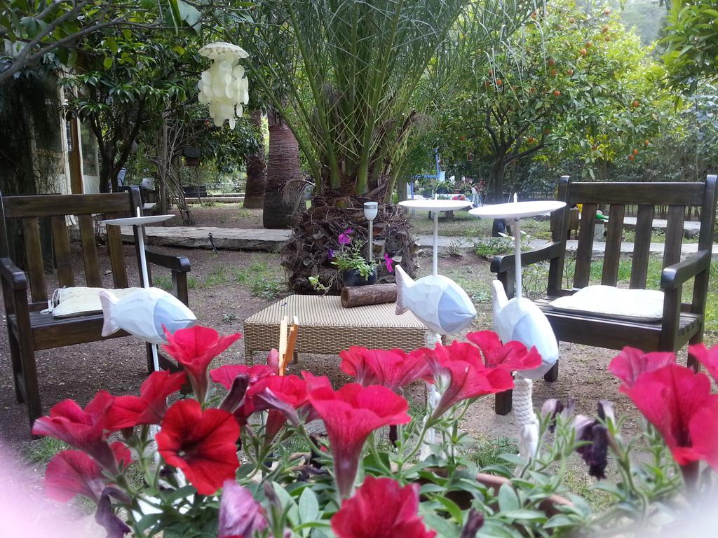 Portalimo Lodge Hotel - Adult Only +12 Çıralı Luaran gambar