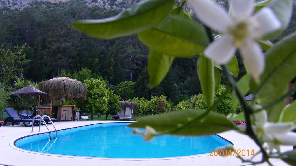 Portalimo Lodge Hotel - Adult Only +12 Çıralı Luaran gambar
