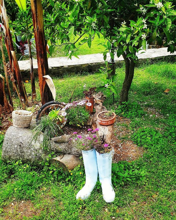 Portalimo Lodge Hotel - Adult Only +12 Çıralı Luaran gambar